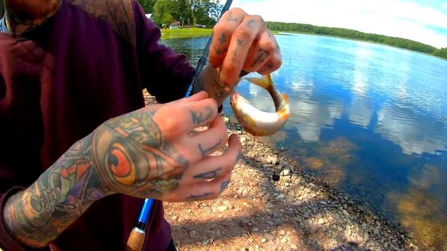 Интересные Факты и Загадки