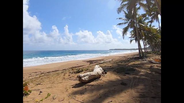 Fun Grizzly Anex Tour смотреть онлайн