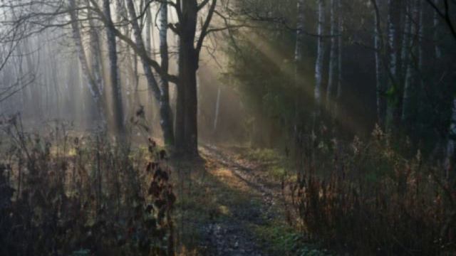 Аудиокнига. Стр.27. Истина Любви.Не возвращай меня укором. Читает автор. Стихи А.Т.