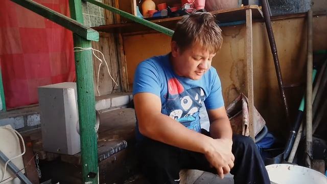Самый дешевый корм для гусей, уток, свиней, индюков.. смотреть онлайн