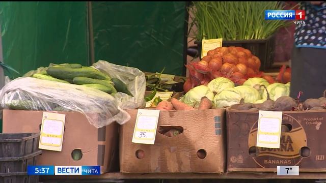 Выставка-ярмарка «Золотая осень Забайкалья» пройдет в Чите с 23 по 24 сентября смотреть онлайн