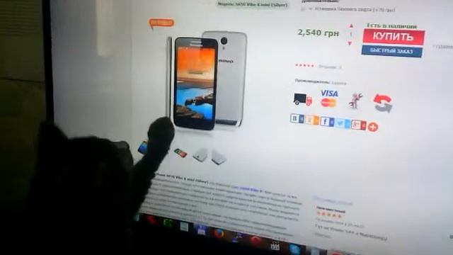 Кошка ловит мышку смотреть онлайн