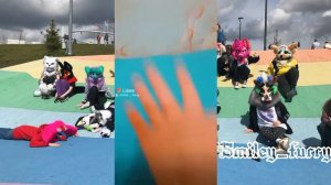 подборка из лайка| рапторы и фурри|  №1