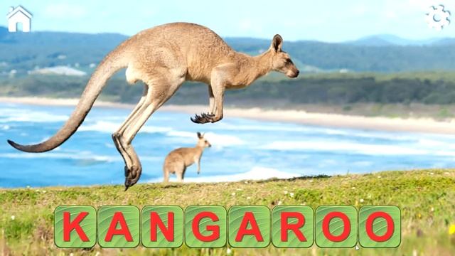 Learn to Read and Save the Animals 3 смотреть онлайн