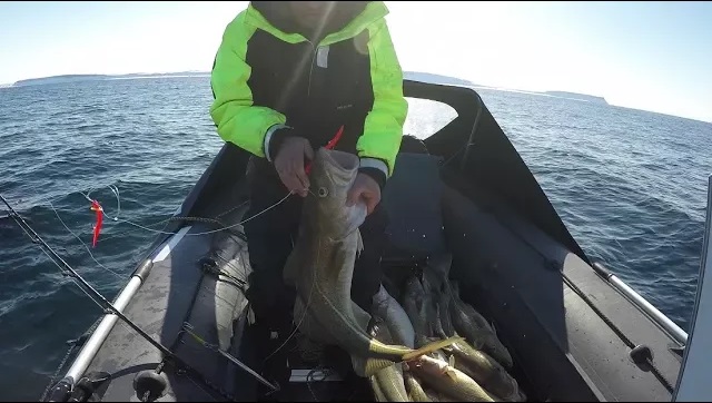 Весенний лов трески на Северном Кильдине / Spring cod fishing in the North Kil'din смотреть онлайн