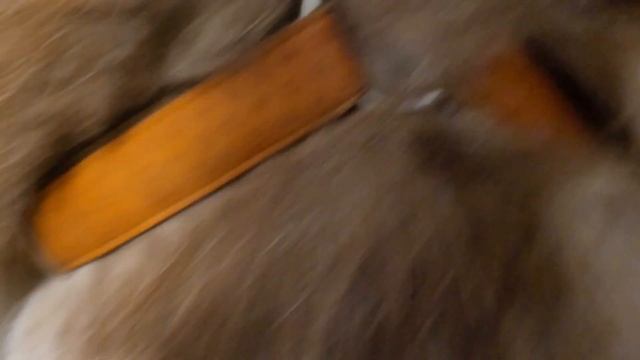 Как кошка с собакой. На краю бездны... ванны. смотреть онлайн