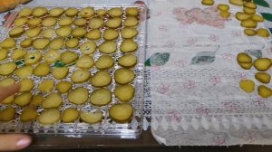 Обзор сушилки Kitfort KT-1907 для овощей и фруктов