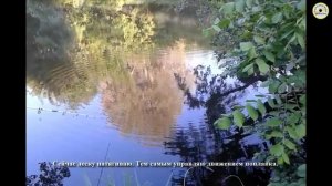 Поплавок кораблик