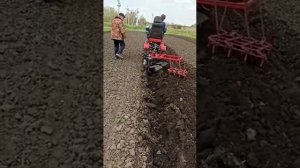 Плуг 2 корпуса с бороной