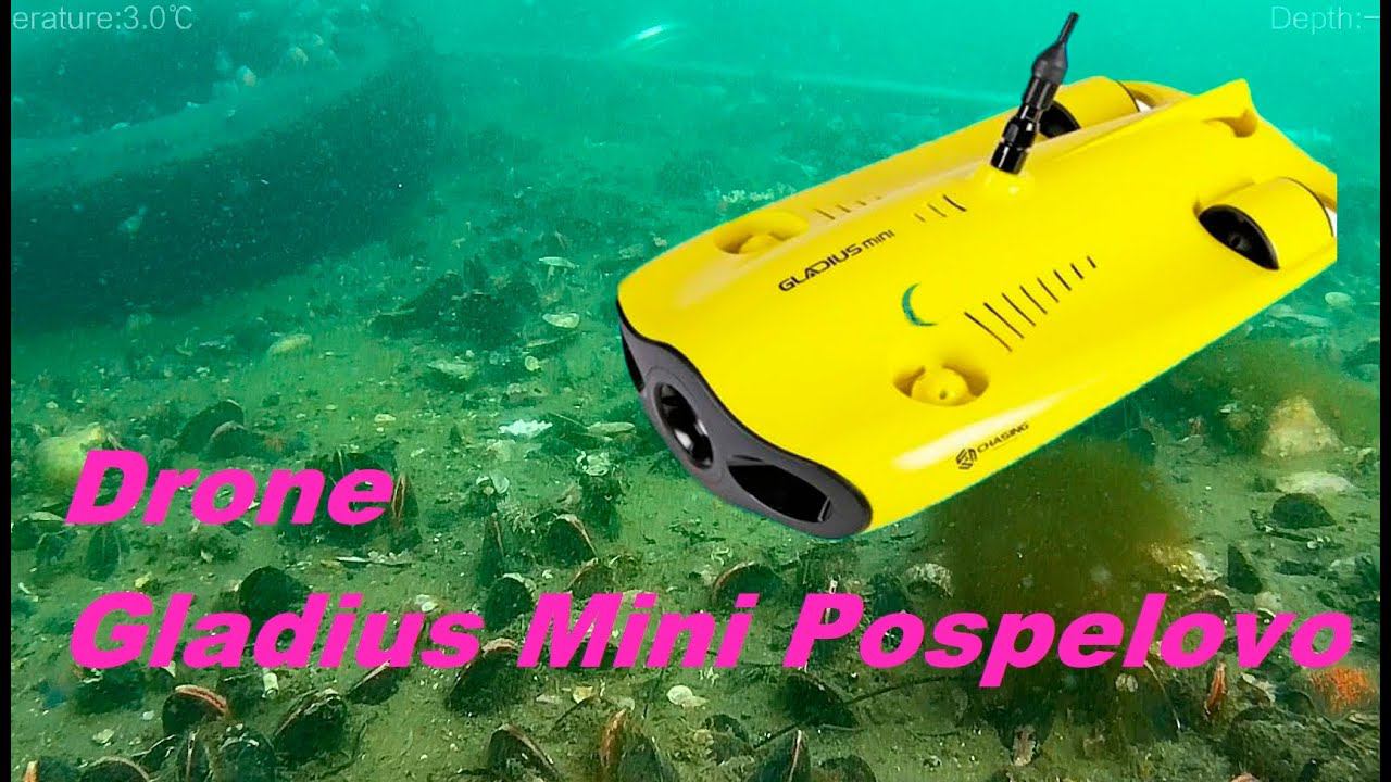 Drone Gladius Mini Pospelovo смотреть онлайн