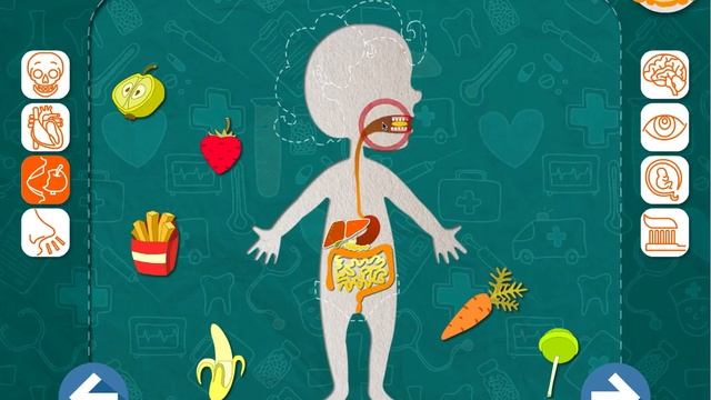 Это мое тело Анатомия для детей смотреть онлайн