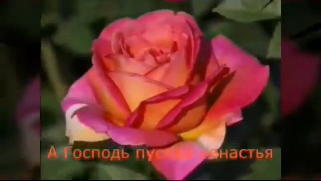 С Днём Рождения Людмила! смотреть онлайн