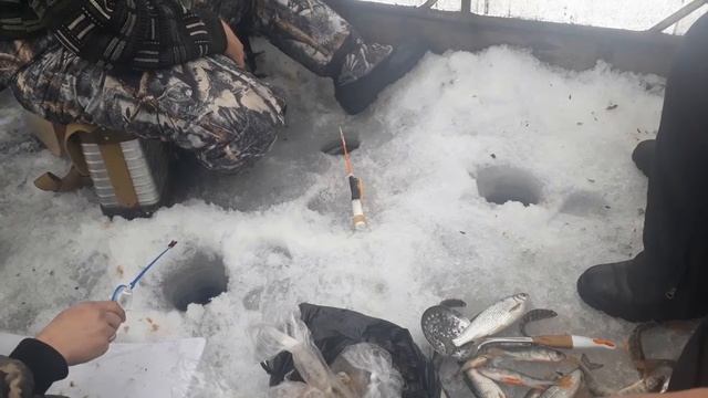 Рыбалка юг Красноярского края.Маяки. смотреть онлайн