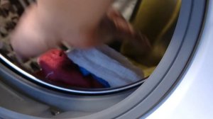 Стиральная машина Samsung серии Baikal - Стиральная машина не отжимает. Бельё мокрое