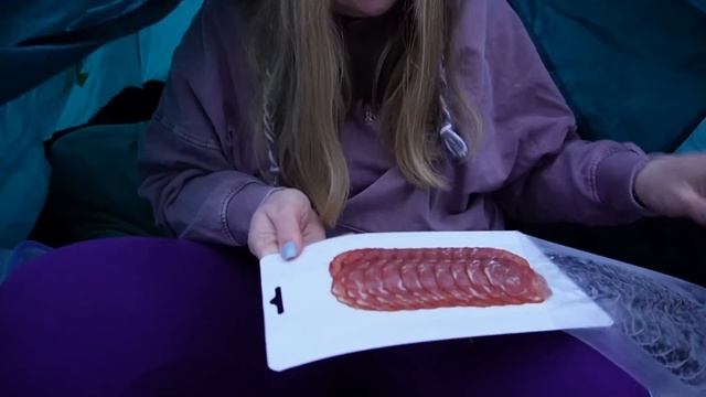 24 ЧАСА ВЫЖИВАЕМ В ГОРЯЧЕЙ ПАЛАТКЕ В ЛЕСУ С КОТОМ И СОБАКОЙ | ВОЛКИ РЯДОМ смотреть онлайн