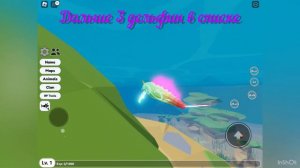 Где найти всех дельфинов под водой?