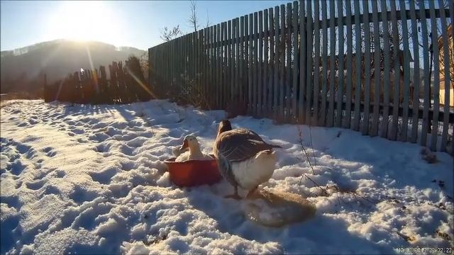 Пересылка вещей смотреть онлайн