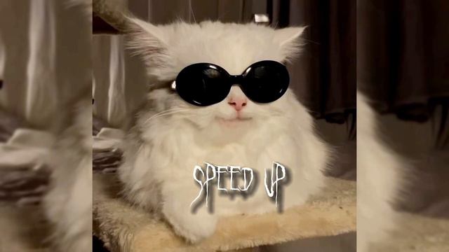 speed up- заново завоевать🎶 смотреть онлайн