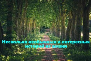Несколько нобычных и интересных историй из жизни. Аудио рассказы.