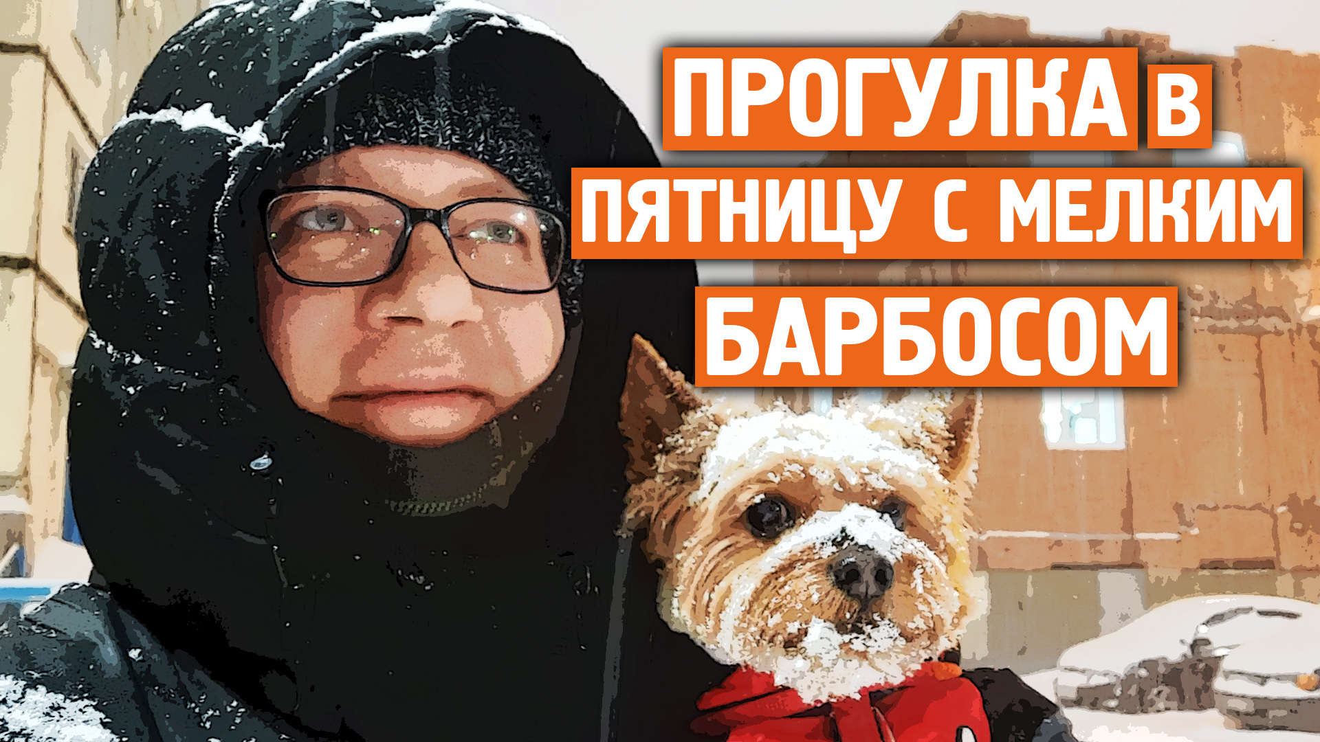 -33 прогулка с барбосом / Не хотел гулять / Норильск блог смотреть онлайн