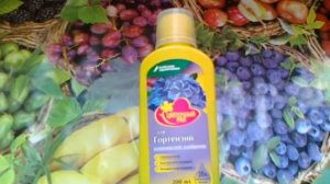 Цветочный рай. Буйские удобрения. Для гортензий.