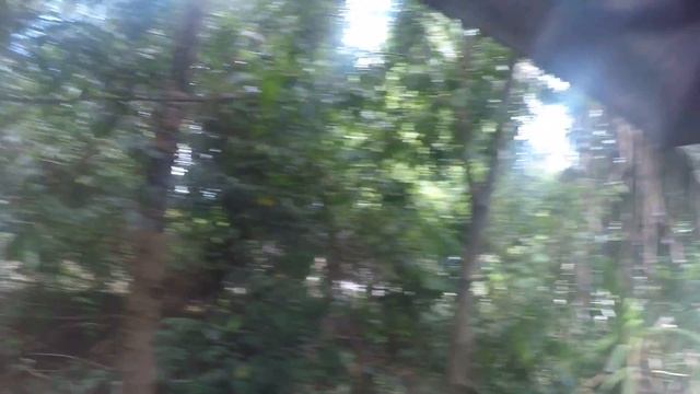 Аренда на Самуи. Видеообзор виллы на Бан Тае №773 смотреть онлайн