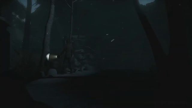 Until dawn by Chris смотреть онлайн