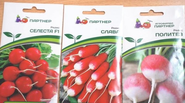 РЕДИС, КОТОРЫЙ ТОЧНО ВЫРАСТИТ! ЛУЧШИЕ СОРТА