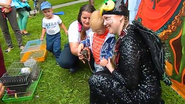 Карнавал животных - животные на съемку смотреть онлайн