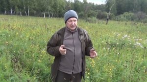 2023 Гон  Учимся манить лося