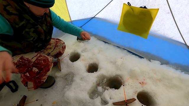 Одни в тайге, наловили кучу рыбы и домой / Для внимательных КОНКУРС / Рыбалка на таежном озере смотреть онлайн