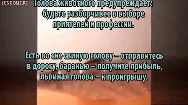 К чему снится Голова сонник, толкование сна