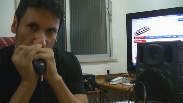 Mundo Da Gaita - Resenha Microfone Superlux D112/C