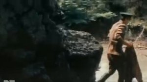 Приказано взять живым