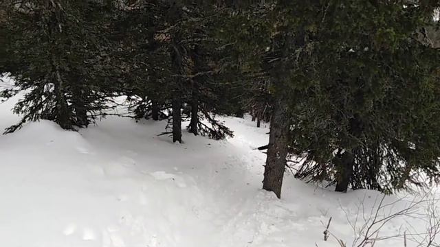 хр. Ялангас (1297 м; 24 км) 04.04.2021г. смотреть онлайн