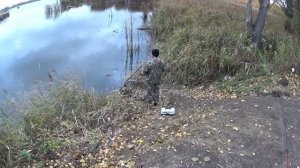 РЫБАЛКА в ОКТЯБРЕ,ЛОВЛЯ в РЫБОКОМБИНАТЕ КУПАВНА-БИСЕРОВО