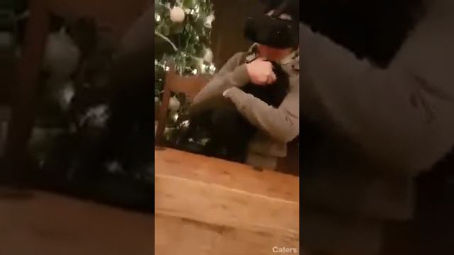 Женщина перепутала, как правильно брать собаку на руки смотреть онлайн