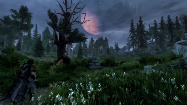 Генерация LOD для Skyrim SE\AE ► Без МО2 или Vortex ►  "Танцы с бубном"