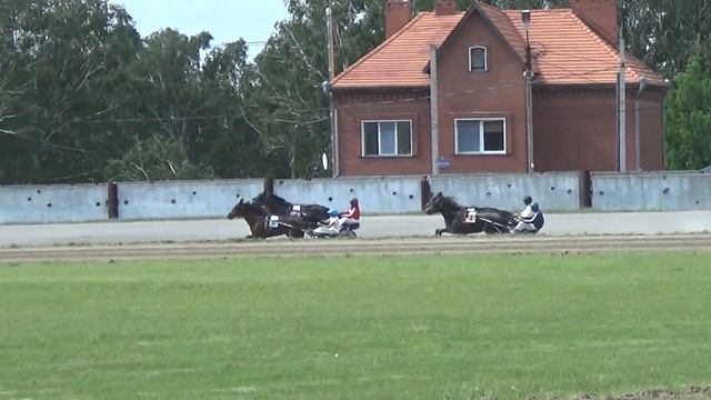 2017. Заезд № 8 (54). Приз "Будущности", 2-й гит. смотреть онлайн