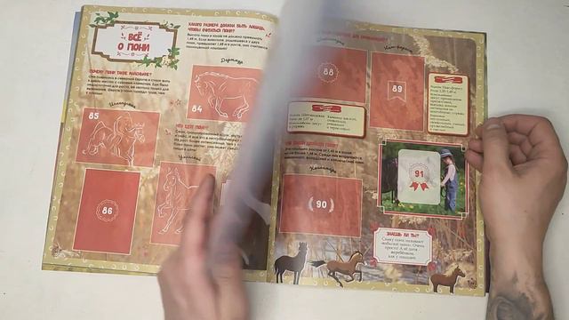 PANINI Самые красивые лошади мира / Обзор альбома для наклеек. смотреть онлайн