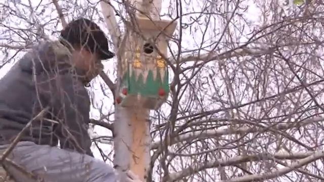 ТВЭл - Установка скворечников и кормушек на территории детского сада №35 смотреть онлайн