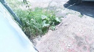 УЛИЧНОЕ ОСВЕЩЕНИЕ У ГАРАЖА