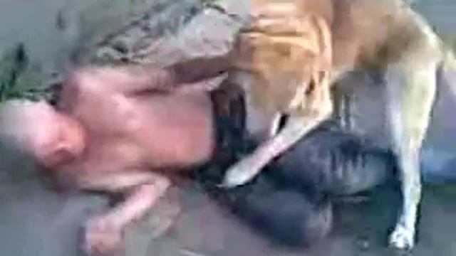 Друг человека.mp4 смотреть онлайн