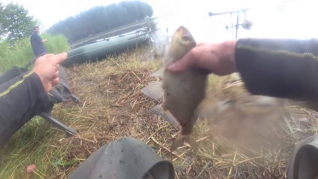 Рыбалка на донку с резиновым амортизатором (резинку). Супер улов! смотреть онлайн
