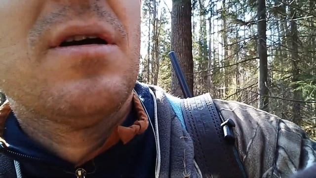 Охота на лося с подхода по чернотропу.Рябчики потеряли страх.Moose Hunting. смотреть онлайн