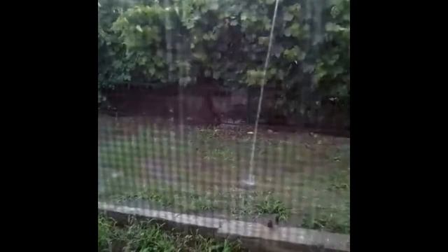 Видео с моего Инстаграма. Херсон #знакомство для пары. Виды и события личные и города. Солянка смотреть онлайн