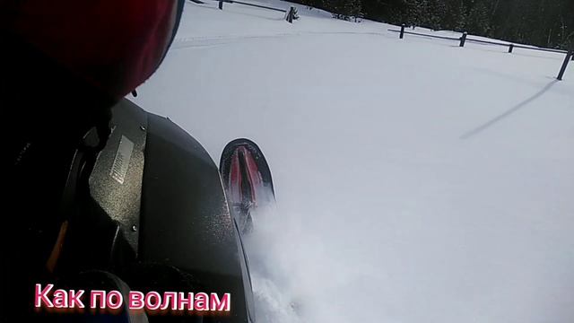 Снегоход Тунгус 500,600 покатушки по пухляку+про диск вариатора #Tungus500#Tungus600#TungusСнегоход смотреть онлайн