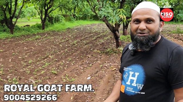 MUMBAI KA SB SE BADA FARM BAKRO KO DETE H EKDUM ORGANIC FEED ROYAL GOAT FARM NEAR BHIWANDI. смотреть онлайн