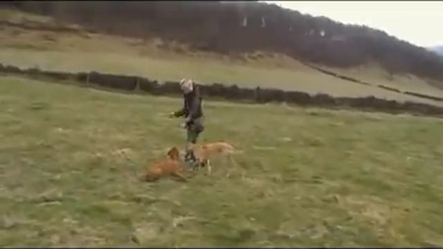 Boys at play смотреть онлайн