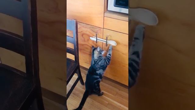 Взломщик сейфов смотреть онлайн